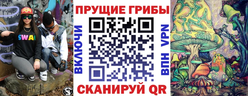 Псилоцибиновые грибы Psilocybe  кракен сайт  Чайковский  маркетплейс формула  хочу  