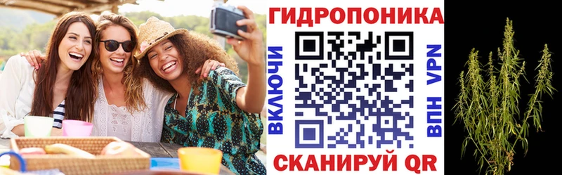 Конопля сатива  MEGA ONION  Чайковский  наркотики 
